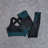 Women Seamless Quick Dry Yoga Sets