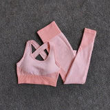 Women Seamless Quick Dry Yoga Sets