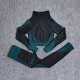 Women Seamless Quick Dry Yoga Sets