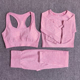 Women Seamless Long Sleeve Crop Top Yoga Set