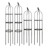 Splicing Plant Climbing Frame