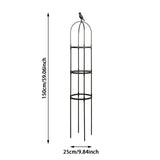 Splicing Plant Climbing Frame