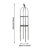Splicing Plant Climbing Frame
