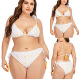 Plus Size One Piece Women's Swimsuit