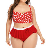 Plus Size One Piece Women's Swimsuit